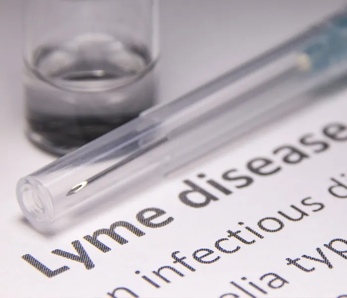 Lyme disease illustration