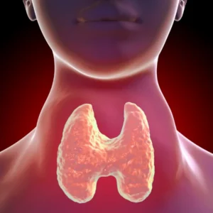 Thyroid illustration